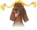 Pet Pigtails Dog Costume Hat For Large Dogs