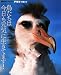 鳥たちは今日も元気に生きてます! (BIRDERスペシャル)