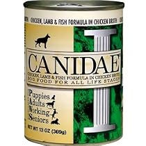 canidae dry dog food