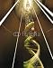 Wallmonkeys Peel and Stick Wall Decals - Adn évolution Dollar - Removable Graphic