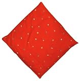 Produkt-Bild: Kirschkernkissen - Kirschkern S&auml;ckchen/ rot Bl&uuml;mchendruck (24x24 cm)
