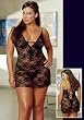 Lace Courtesan