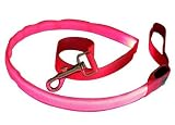 Pink Nylon Webbing Dog Leash with Super Bright Pink Fiber Optical Led Lights, Multi-functional, Washable and Lightweight