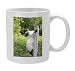 Kitchen & Housewares : Siamese Cat climbing fencepost - Photo Mug by Ardea