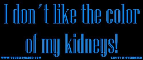 I Don't Like the Color of My Kidneys Doctor Who Bumper Sticker