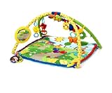 Baby Einstein Seek & Discover Activity Gym