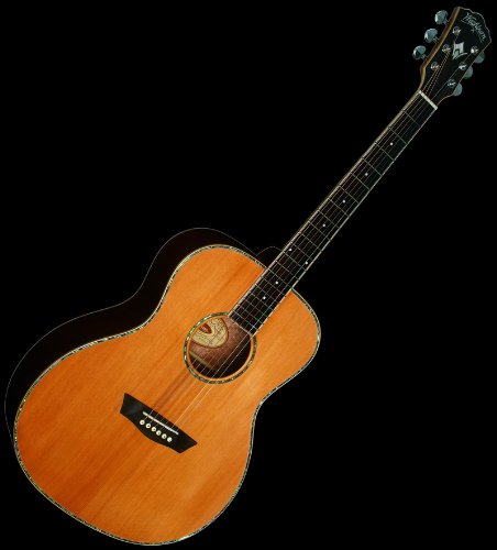 NEW WASHBURN WG26S SOLID ACOUSTIC GUITAR