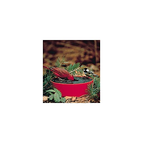 AmericanMade Covered and Insulated Solar Sipper Bowl Store gardening