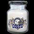 Indianapolis Colts 3 3/4" Team Candle - NFL Football Fan Shop Sports Team Merchandise