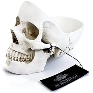 Amazon.com - SUCK UK Skull Design Desk an