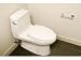 Plumbing: Repair & Maintenance of a Toilet
