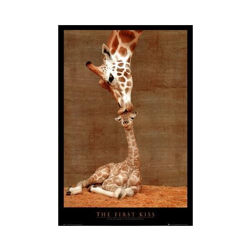 Giraffe Kissing Baby