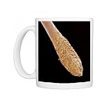 Hair root, SEM Photo Mugs