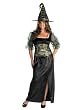 Plus Size Theatre Costumes Plus Size Witch Costume