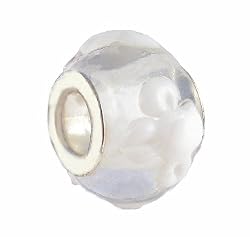 Pandora Style Charm Bead (Z149) Murano Style / Lampwork Glass (15mm x 11mm) (fits Troll too)