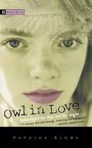Owl in Love