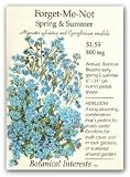 Forget-me-not Spring and Summer