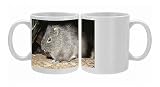 Photo Mugs of Guinea Pig / Cavy from Ardea Wildlife Pets