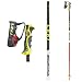 LEKI "WC Racing SL TTB" Skistock 2010 (6386775) Länge 115cm