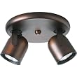 Progress Lighting P6148-174WB 2-Light Round Back Directional Metal Cylinder Style Light, Urban Bronze