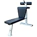 Read Abdominal Crunch Bench Details Abdominal Crunch Bench