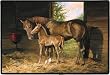 Missy and Bailey Horse Mare and Colt/foal Western Doormat Mat Rug