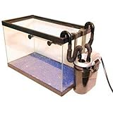 KollerCraft TOM Rapids Mini Canister Filter, 80 GPH