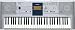 Yamaha PSR-E323 61-key Touch Sensative Portable Keyboard with 482 Voices