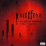 American Nightmare lyrics