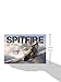 Spitfire (General Aviation)
