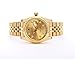 Sangdo Men's with Diamond Round 18k Gold Dial Shell Gold Stainless Steel Band Mechanical Watches