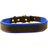 Perri's Padded Leather Dog Collar