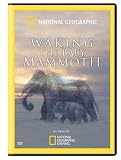 Waking the Baby Mammoth
