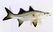 Replica Snook Ocean Coastal Fly Fishing Wall Decor