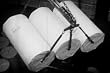 The Chicago Tribune History Film: Trees to Tribune (1937) [DVD] - Teaching the History of the Newspaper Including Newspaper Production Chemicals, Logging & Printing Newsprint