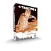 Suchen : Traktor DJ-Studio 3 DJ-Software