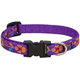 LupinePet 1/2-Inch Spring Fling Adjustable Dog Collar
