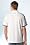 Short Sleeve Super Dry Polo w/Shoulder Piping