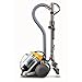 Dyson 21840-01 DC29 DB Origin Aspirateur sans sac