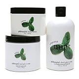 philosophy empowermint, 3 piece set 1 set