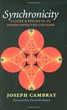 Synchronicity: Nature and Psyche in an Interconnected Universe (Carolyn and Ernest Fay Series in Analytical Psychology)