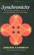 Synchronicity: Nature and Psyche in an Interconnected Universe (Carolyn and Ernest Fay Series in Analytical Psychology)