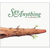 ...Is a Real Boy an album by Say Anything