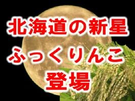 新米 函館育ち 22年産北海道産ふっくりんこ 白米5kgx4袋 無洗米加工-袋再利用 長期保存包装