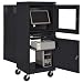Sandusky SFDJG2663 Steel Flat Screen Mobile Computer Security Workstation, 150 lbs Capacity, 26" Width by 63" Height by 24" Depth