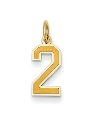14k Yellow Gold Small Satin Number 2 Charm Pendant. Metal Wt- 0.5g