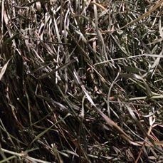 Flowing River Farm Organic Grass Blend Hay- 13 oz.