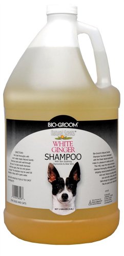 Natural Scents Dog Shampoo 1 Gallon WhiteGinger