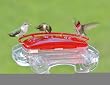 Jewel Box Window Hummingbird Feeder, Red