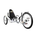 Triton Pro Ultimate Three Wheeled Cruiser, SILVER